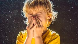 Ácaros, polvo y alergias: cómo nos afecta la suciedad que no vemos